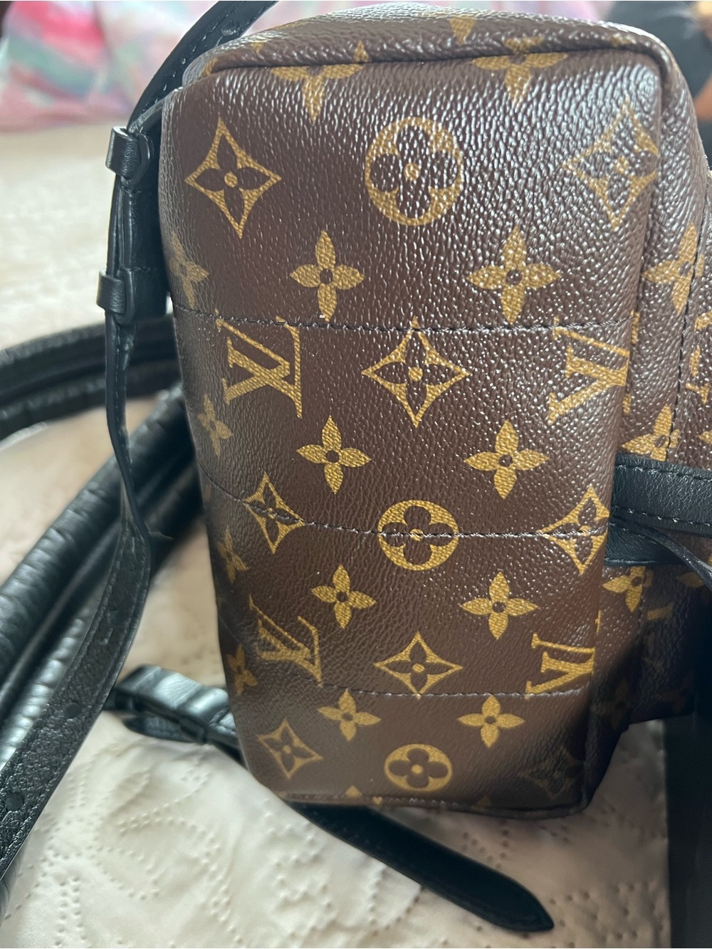Louis Vuitton Monogram Palm Springs PM Backpack - Picture 8 of 16